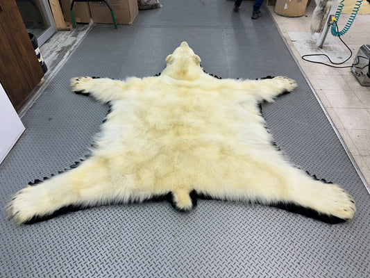 Rugs - Polar Bear #0010