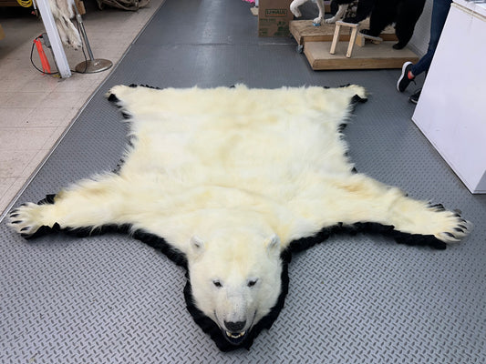 Tapis - Ours Polaire #0011