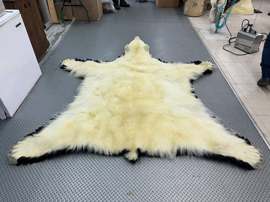 Rugs - Polar Bear #0011