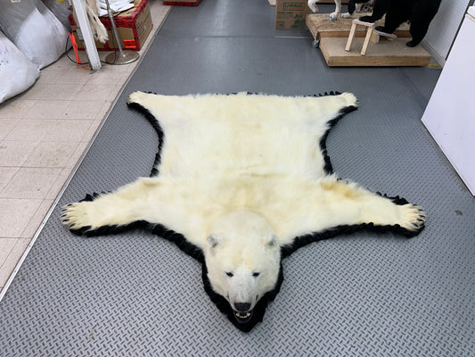 Tapis - Ours Polaire #0012