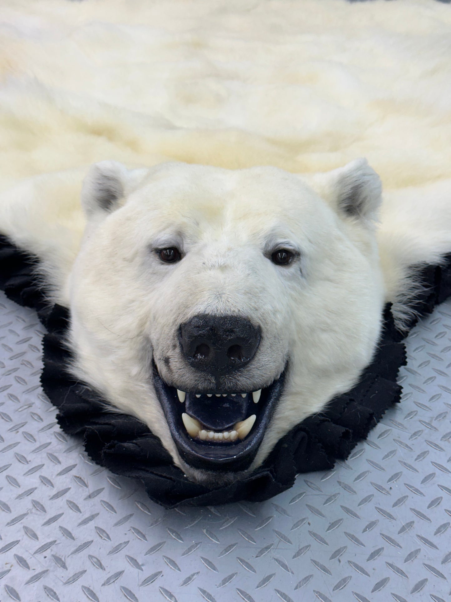Rugs - Polar Bear #0016