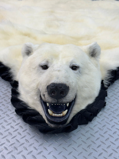 Rugs - Polar Bear #0016