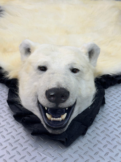 Tapis - Ours Polaire #0038