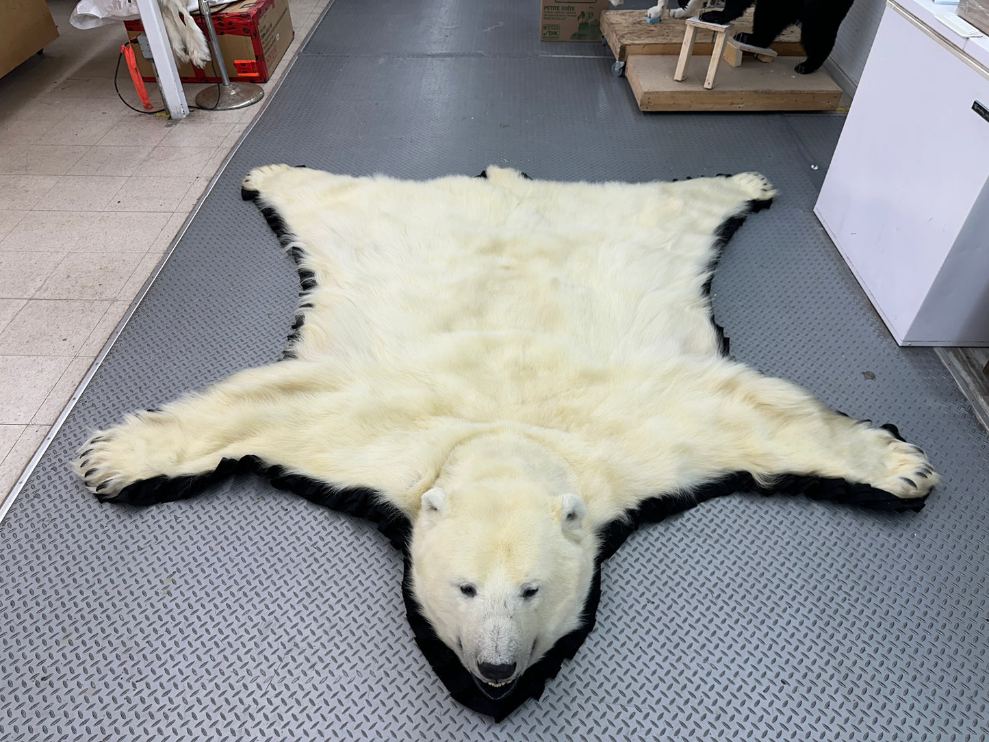 Rugs - Polar Bear #0052