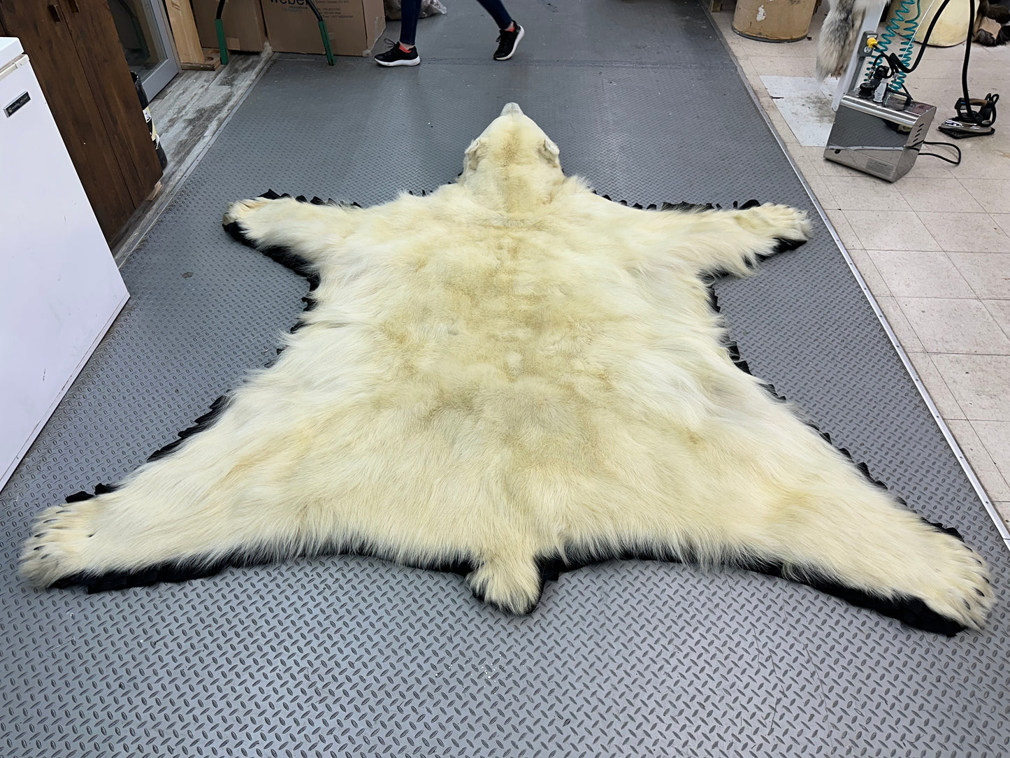 Rugs - Polar Bear #0052