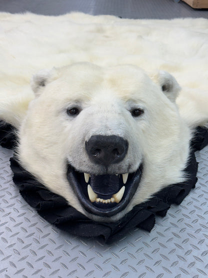 Rugs - Polar Bear #0052