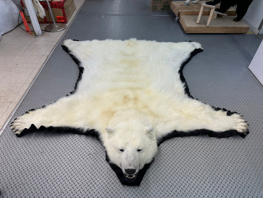 Rugs - Polar Bear #15128