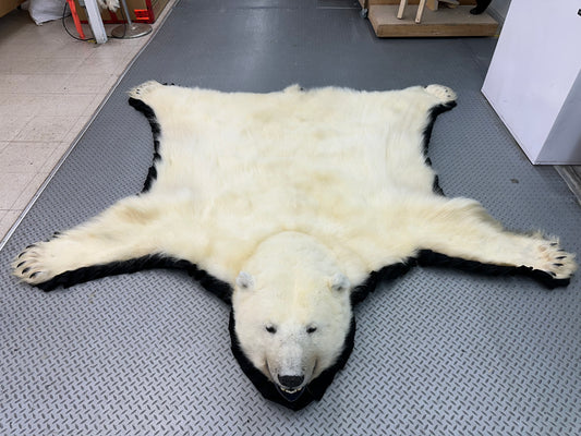 Rugs - Polar Bear #15133