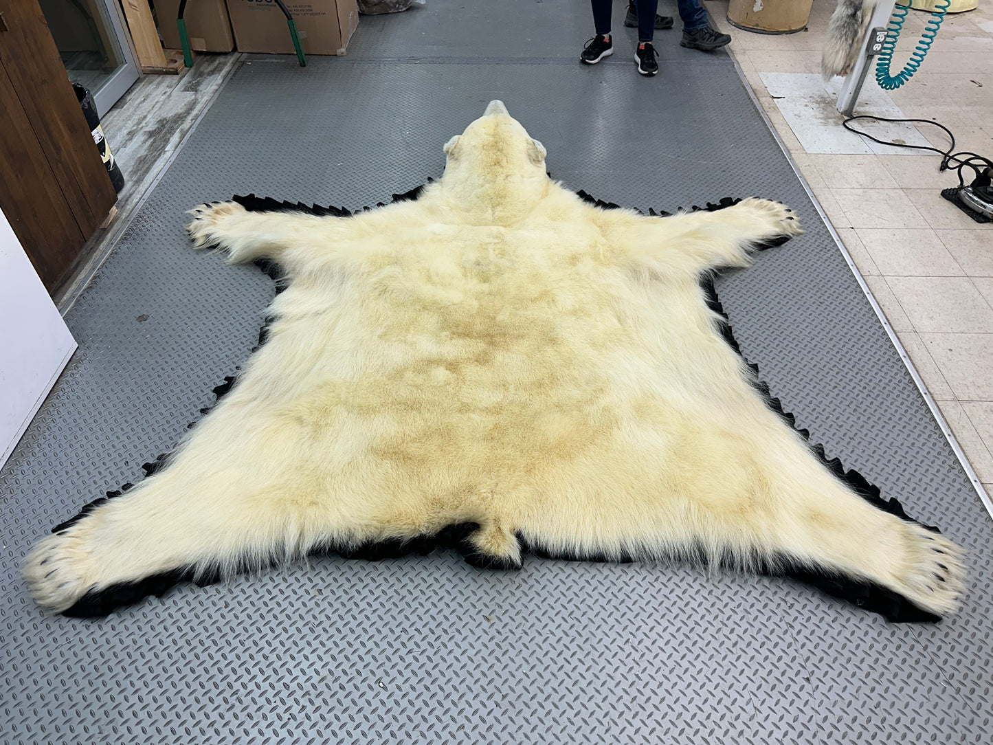 Rugs - Polar Bear #15133