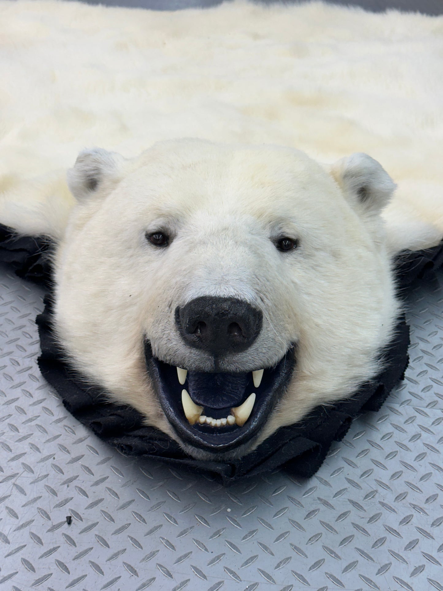 Rugs - Polar Bear #15133