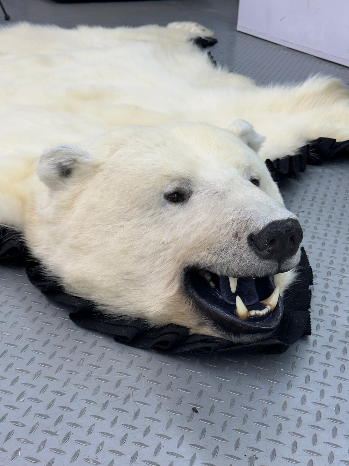 Rugs - Polar Bear #15133