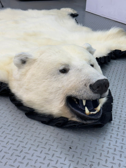 Rugs - Polar Bear #15133