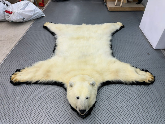 Rugs - Polar Bear #15175