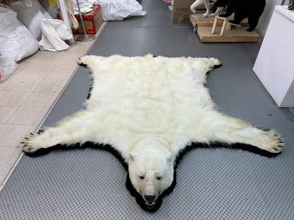 Rugs - Polar Bear #1534