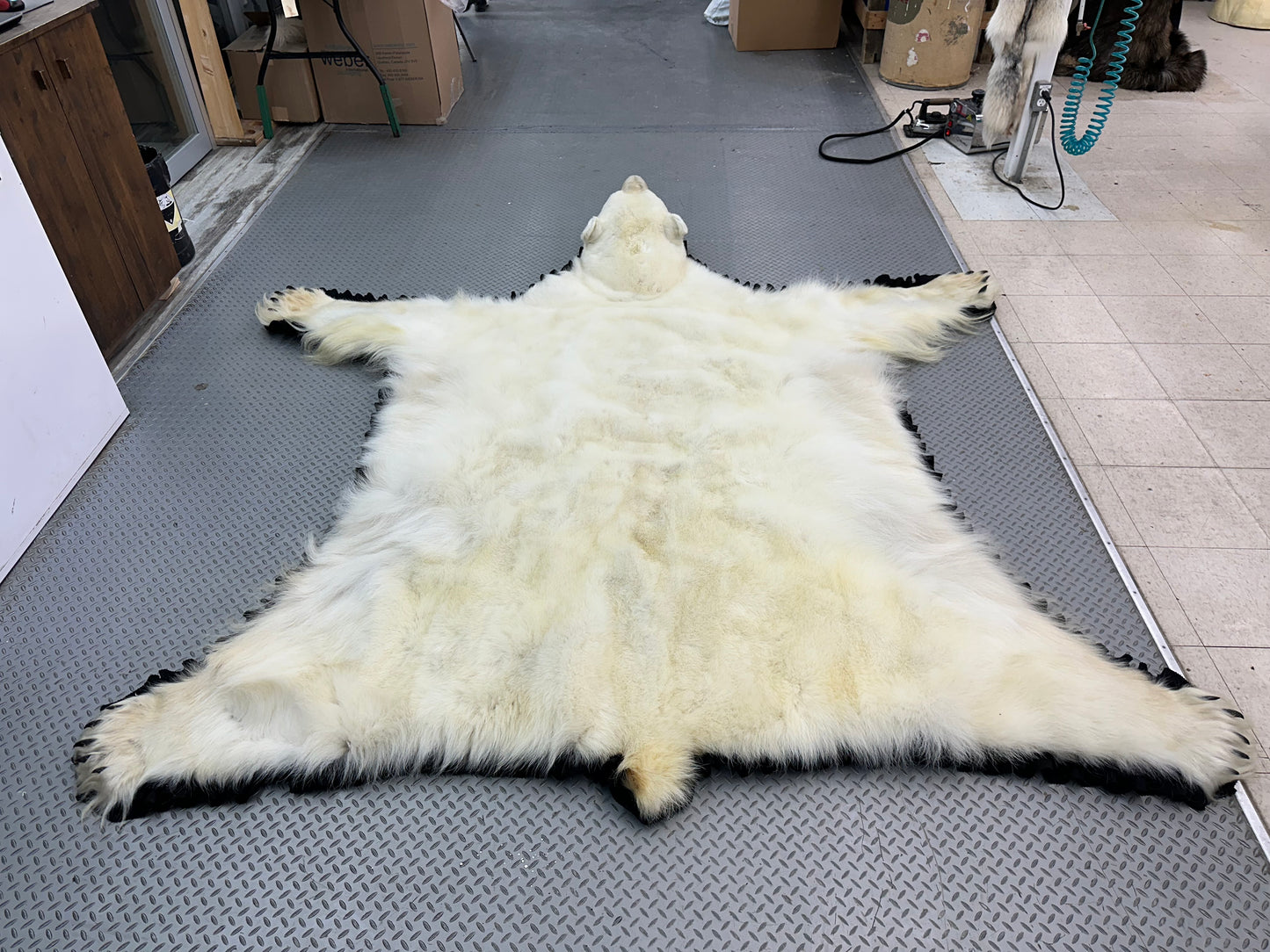 Rugs - Polar Bear #1534