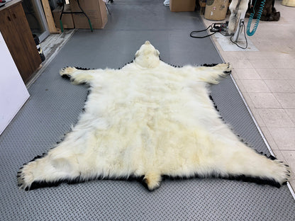 Rugs - Polar Bear #1534