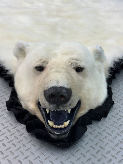 Rugs - Polar Bear #1534