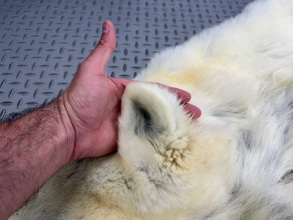 Peau - Ours Polaire #25339