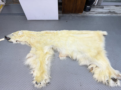 Peau - Ours Polaire #26329