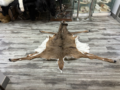 Peau - Chevreuil #0000646