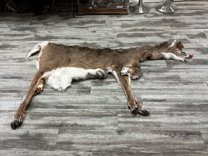 Peau - Chevreuil #0000646