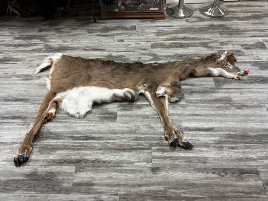 Peau - Chevreuil #0000646