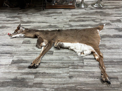 Peau - Chevreuil #0000646