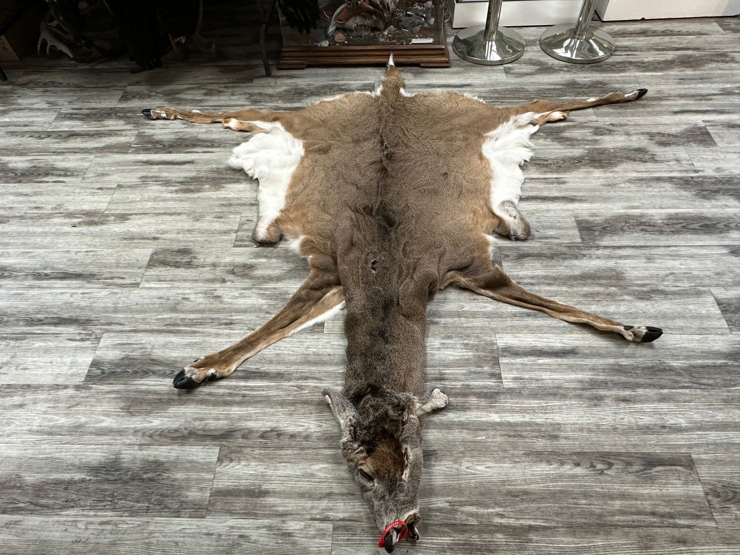 Peau - Chevreuil #0000646