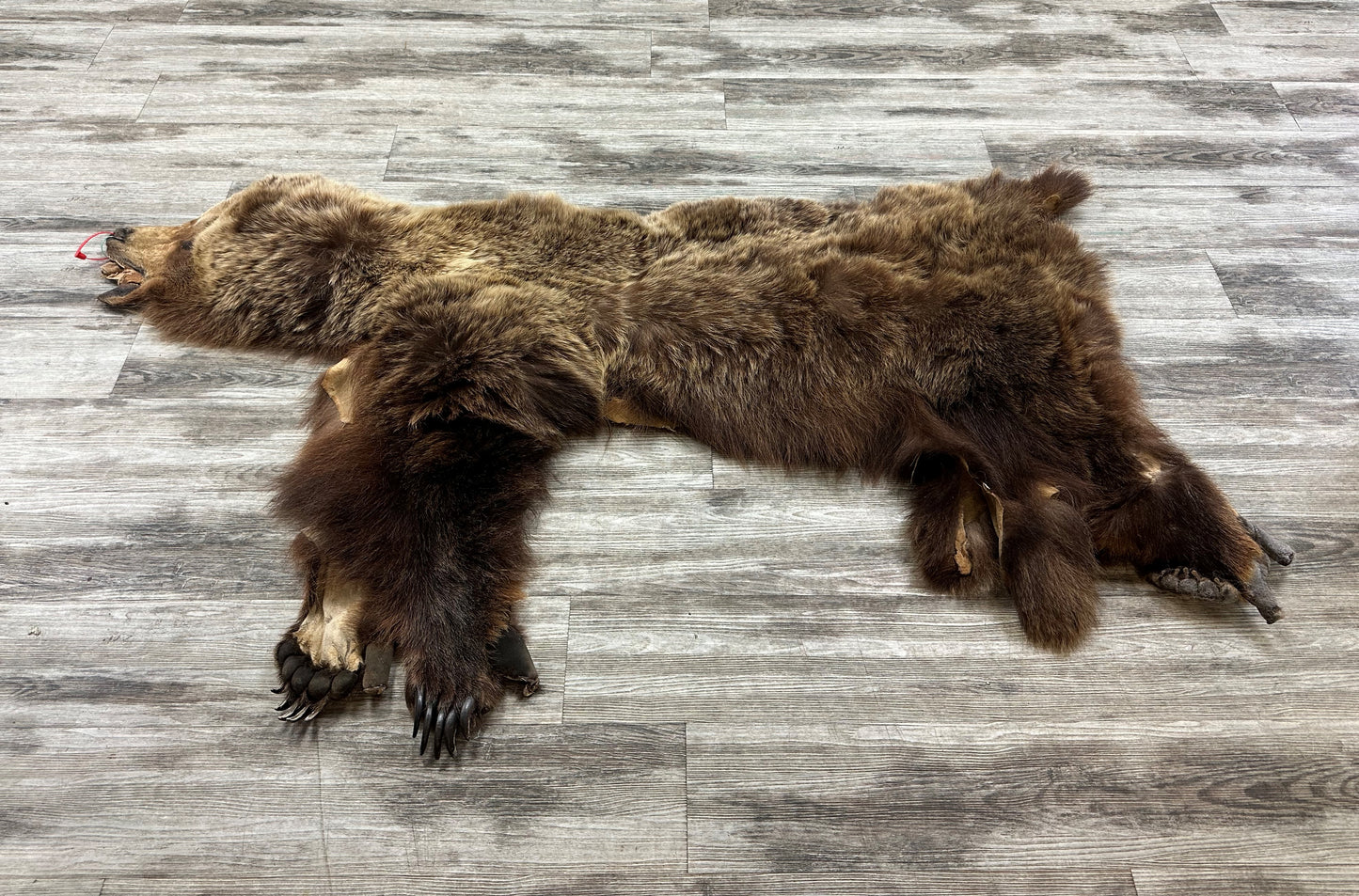 PEAU - GRIZZLY #0000668