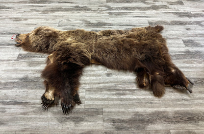 PEAU - GRIZZLY #0000668