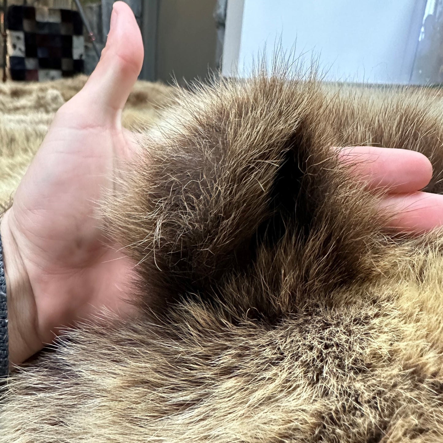 PEAU - GRIZZLY #0000668