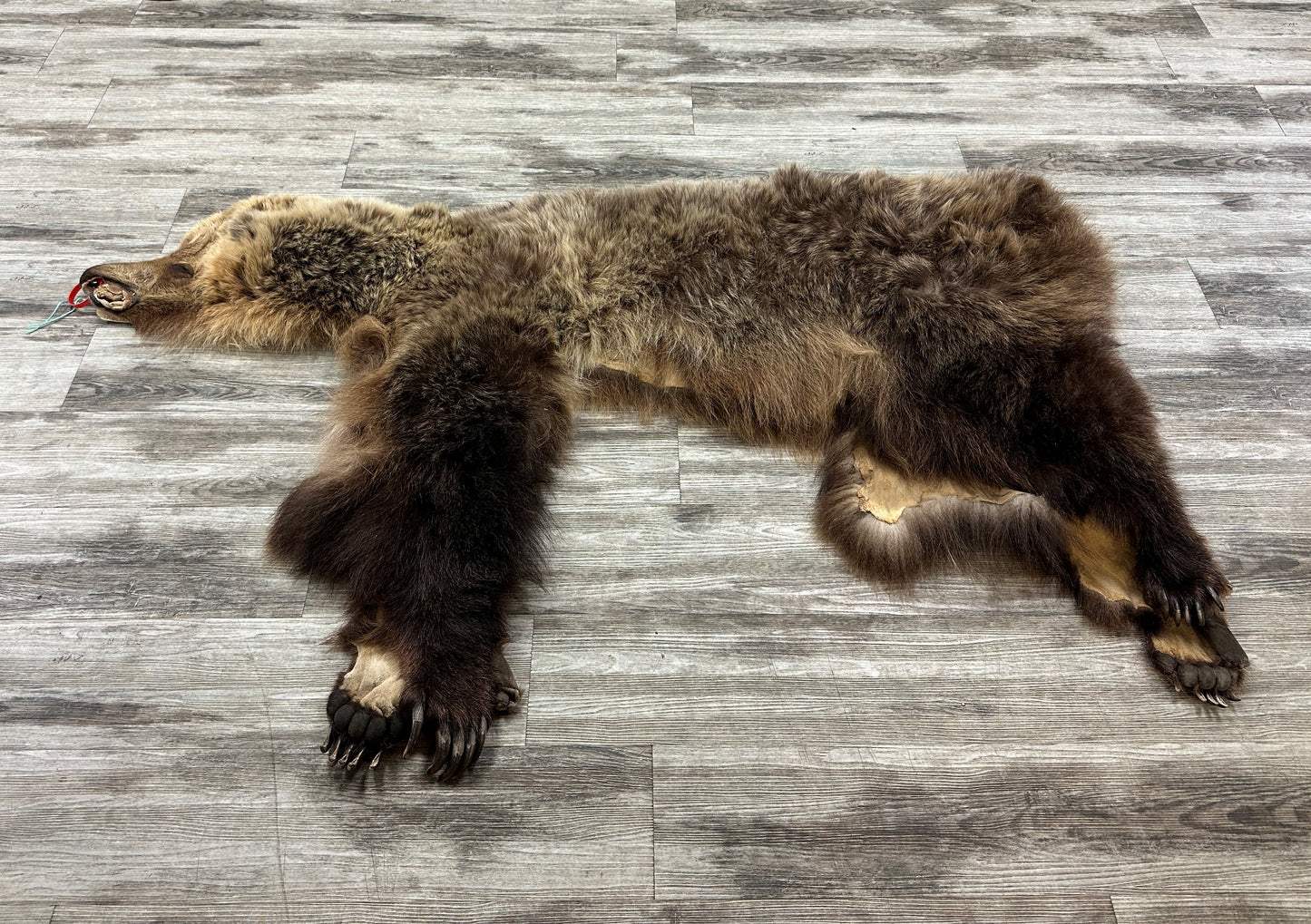 PEAU - GRIZZLY #0000701