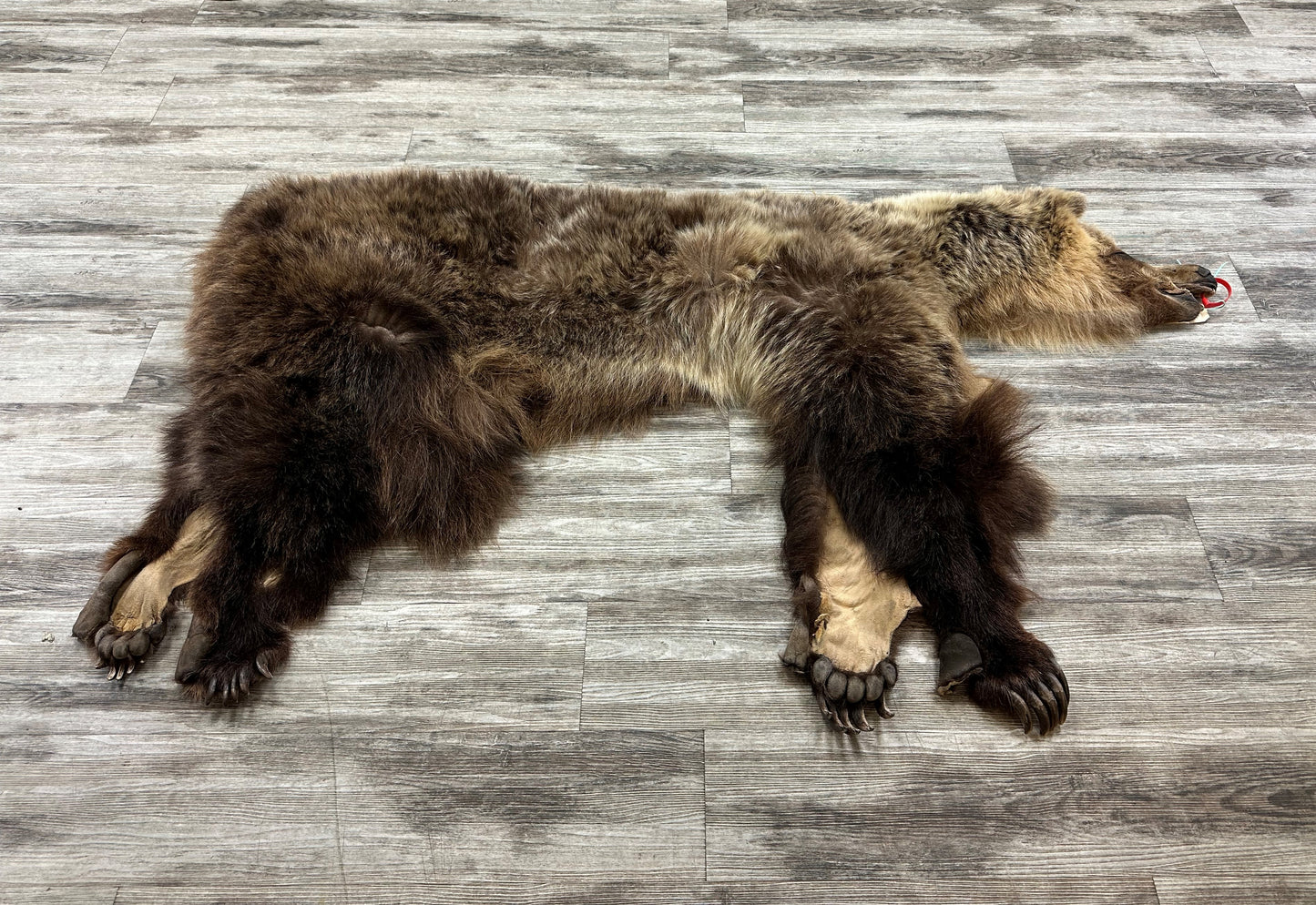 PEAU - GRIZZLY #0000701