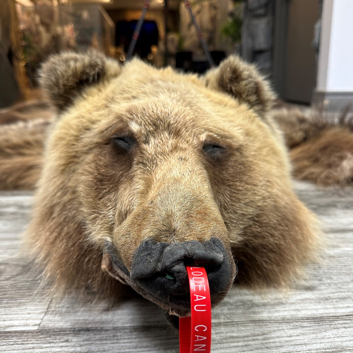 PEAU - GRIZZLY #0000701