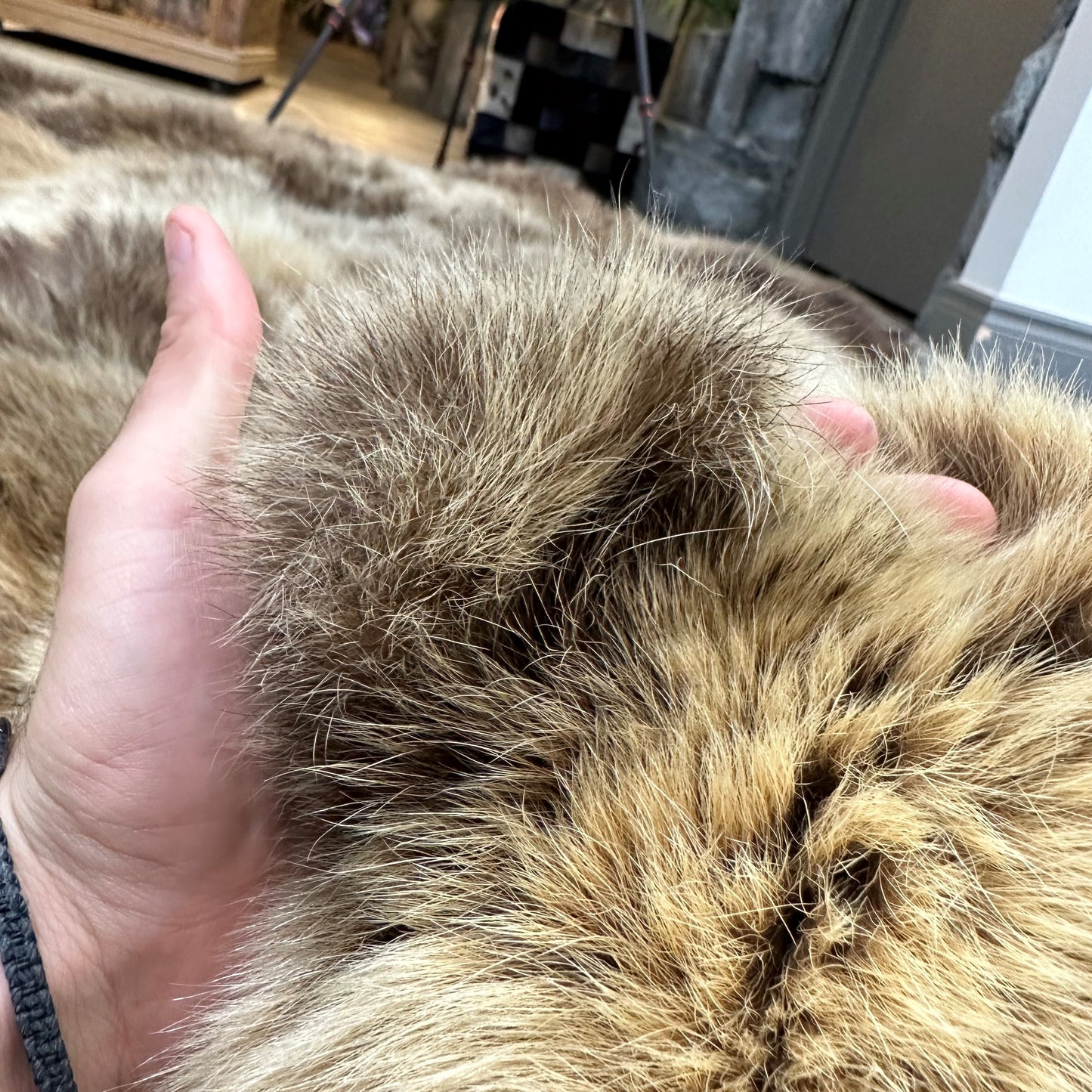 PEAU - GRIZZLY #0000701
