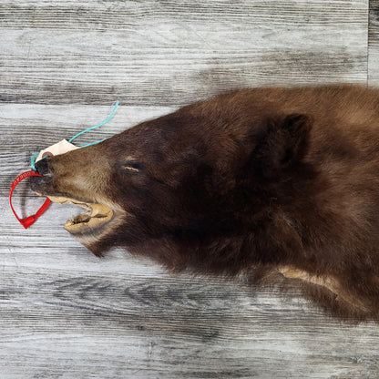 DRESSED SKINS - CINNAMON BEAR #0000819