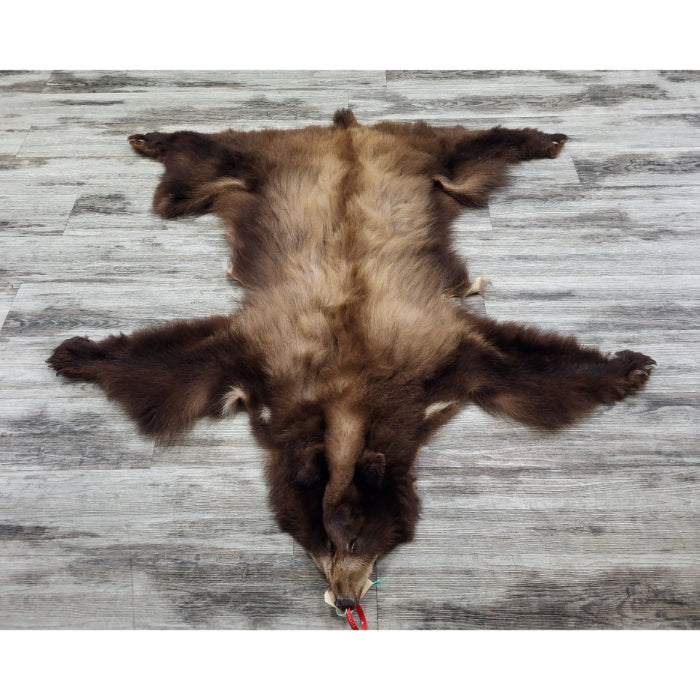 DRESSED SKINS - CINNAMON BEAR #0000819