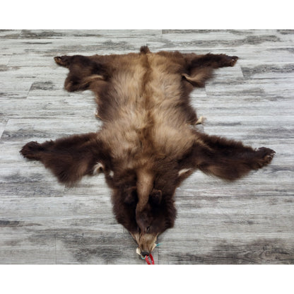 DRESSED SKINS - CINNAMON BEAR #0000819