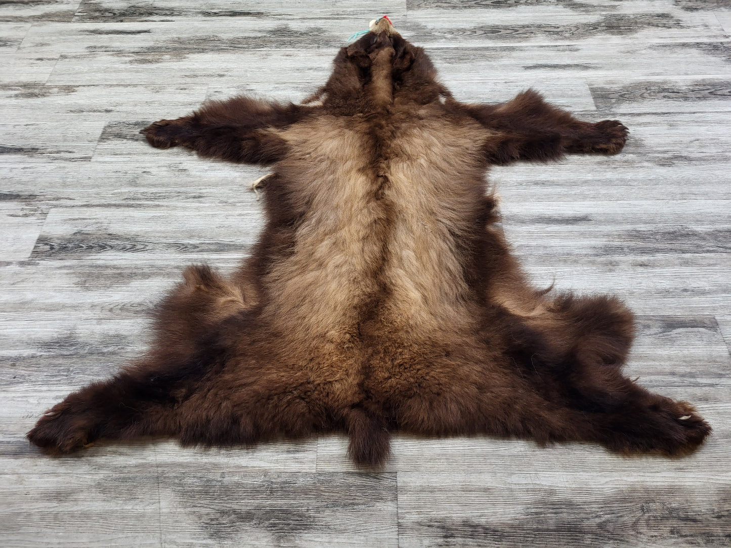 DRESSED SKINS - CINNAMON BEAR #0000819