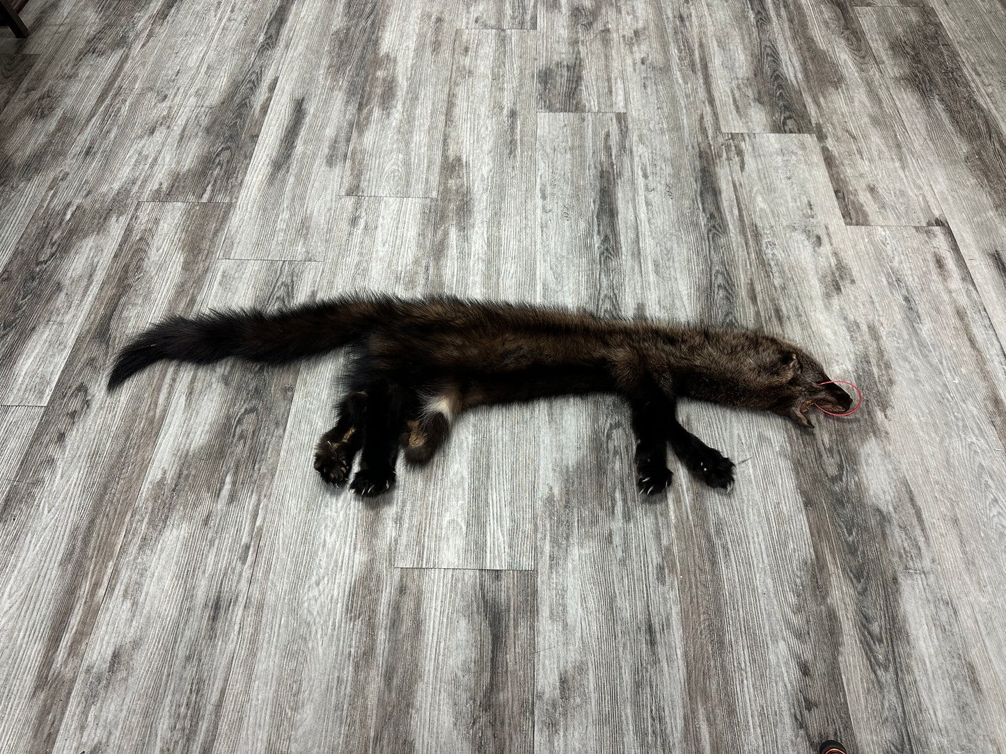 Peau - Pekan #0000884