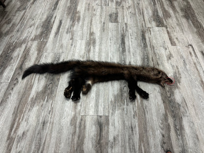 Peau - Pekan #0000884