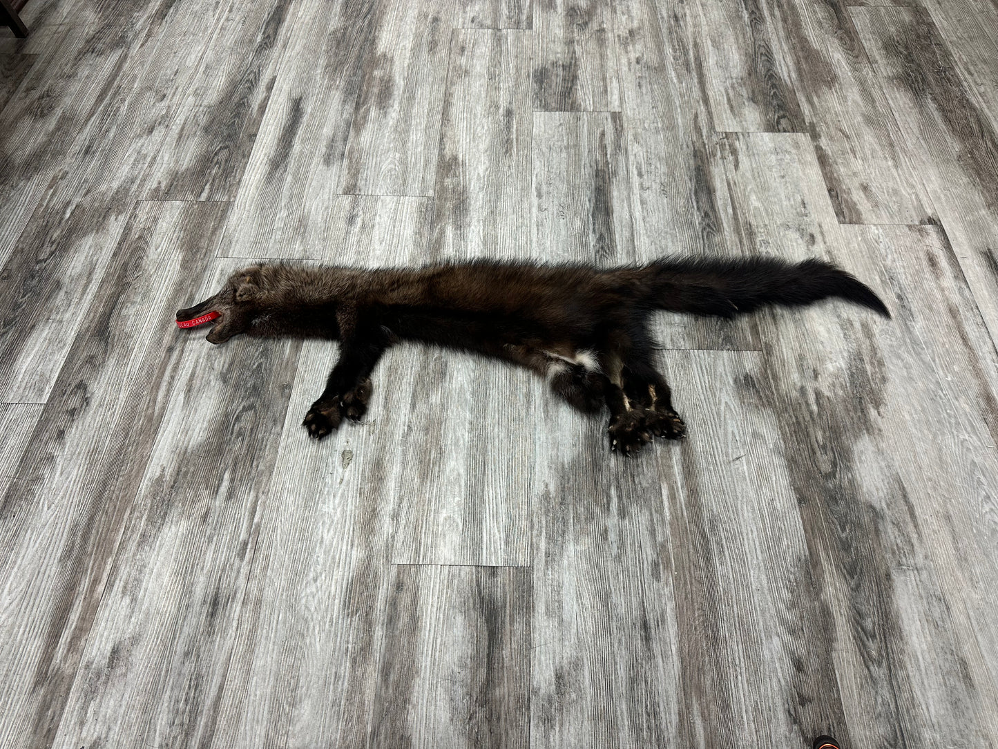 Peau - Pekan #0000884