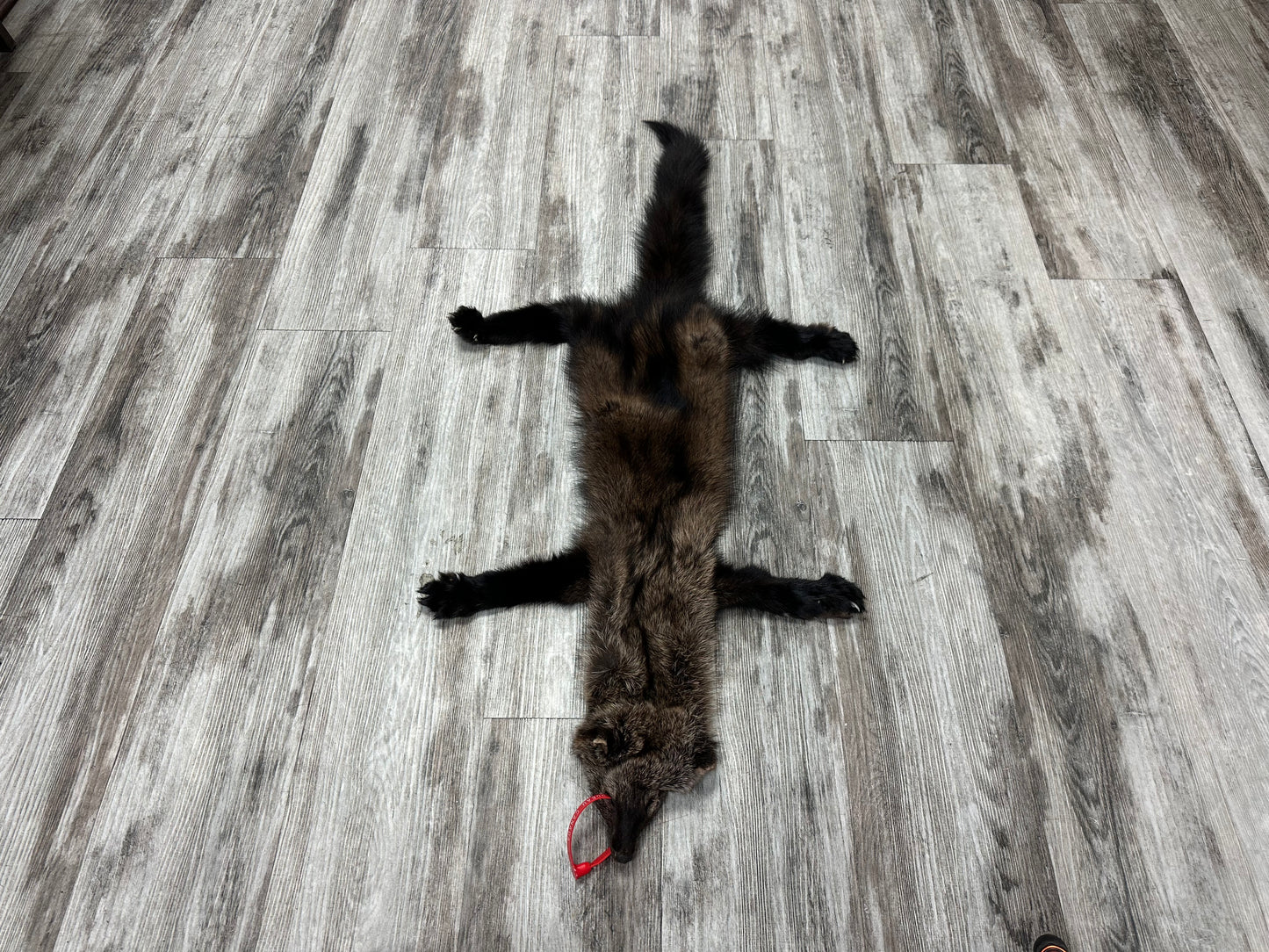 Peau - Pekan #0000884