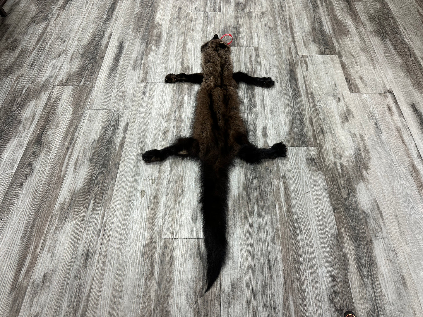 Peau - Pekan #0000884