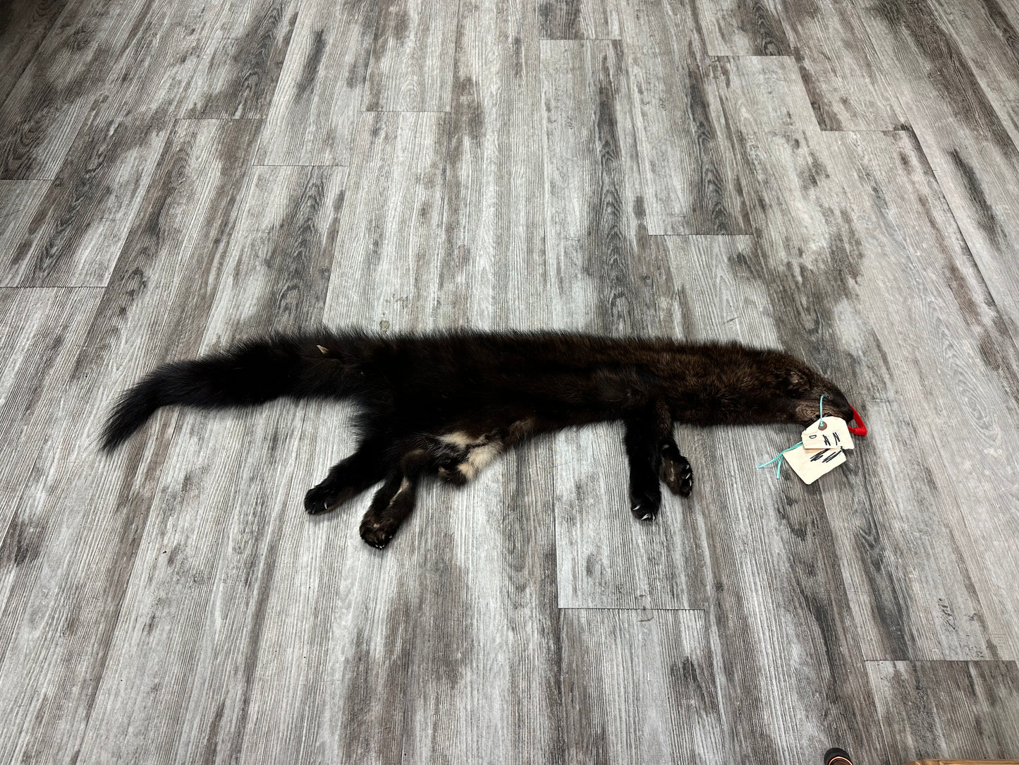 Peau - Pekan #0000935