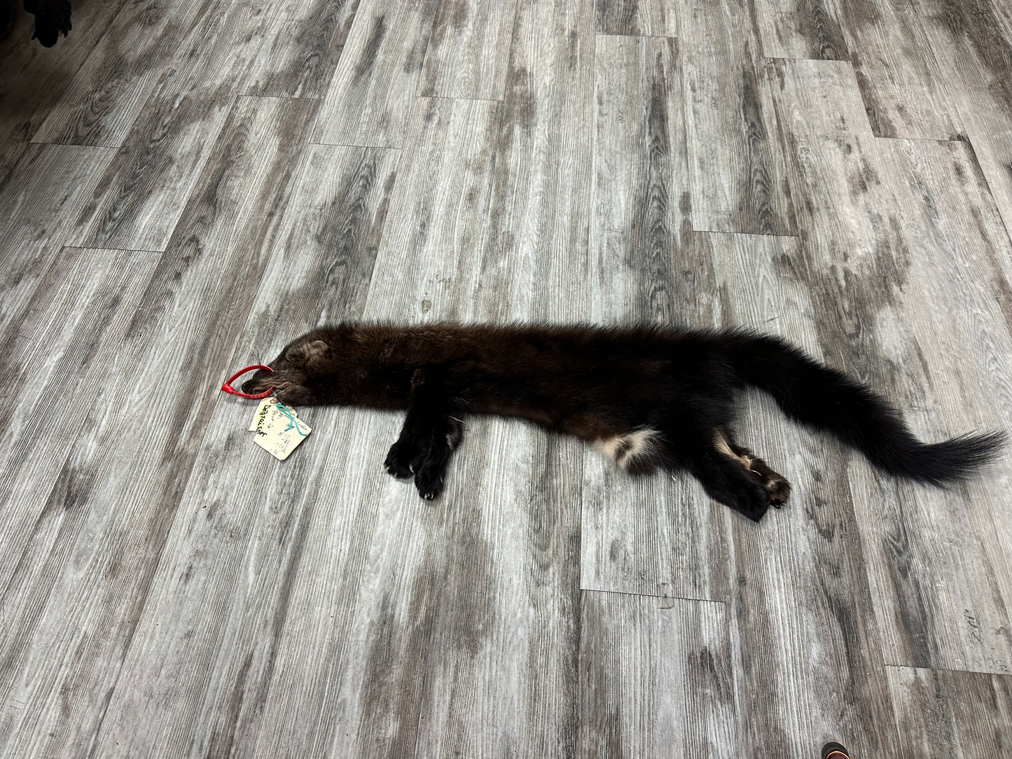 Peau - Pekan #0000935