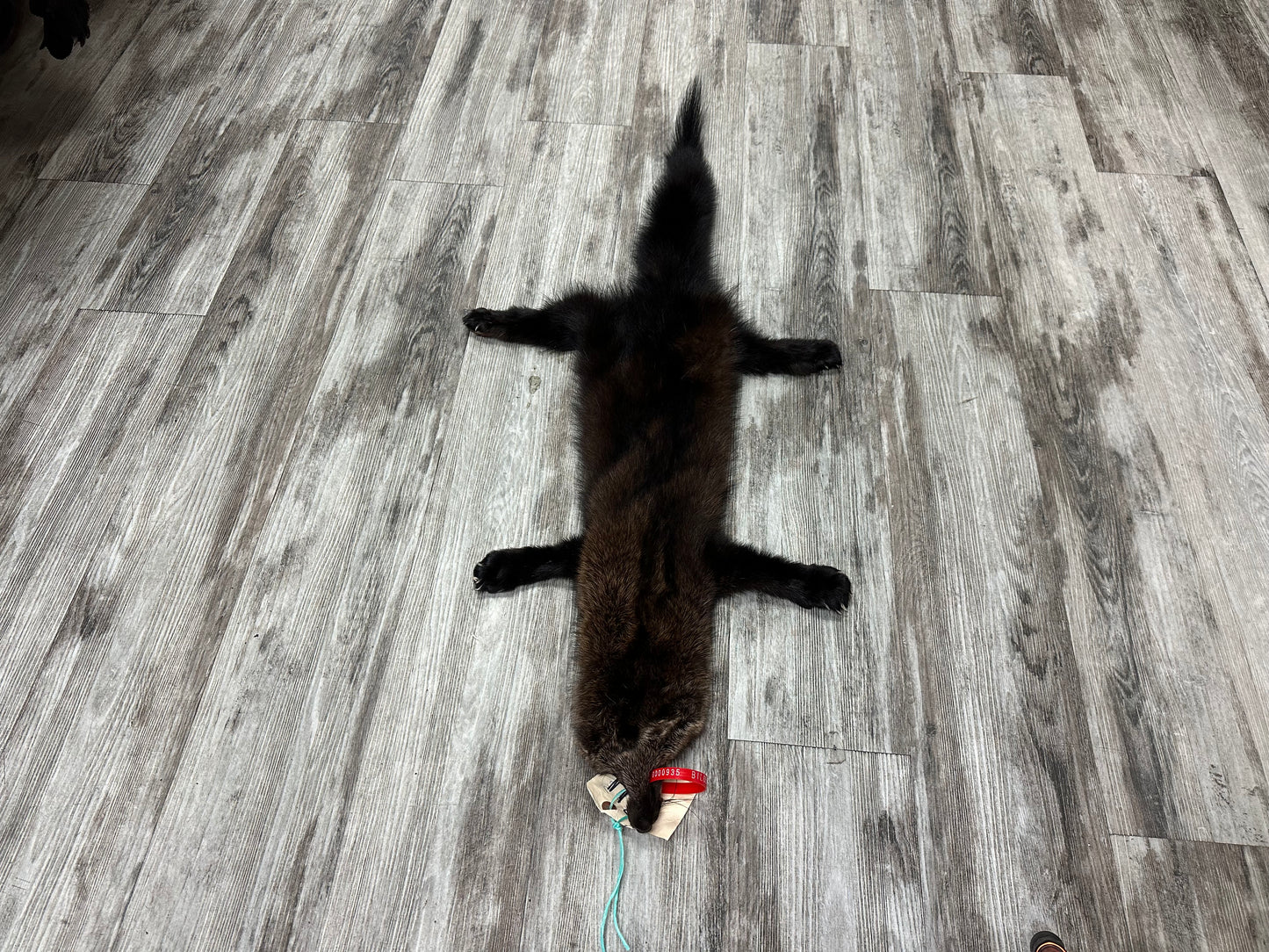 Peau - Pekan #0000935