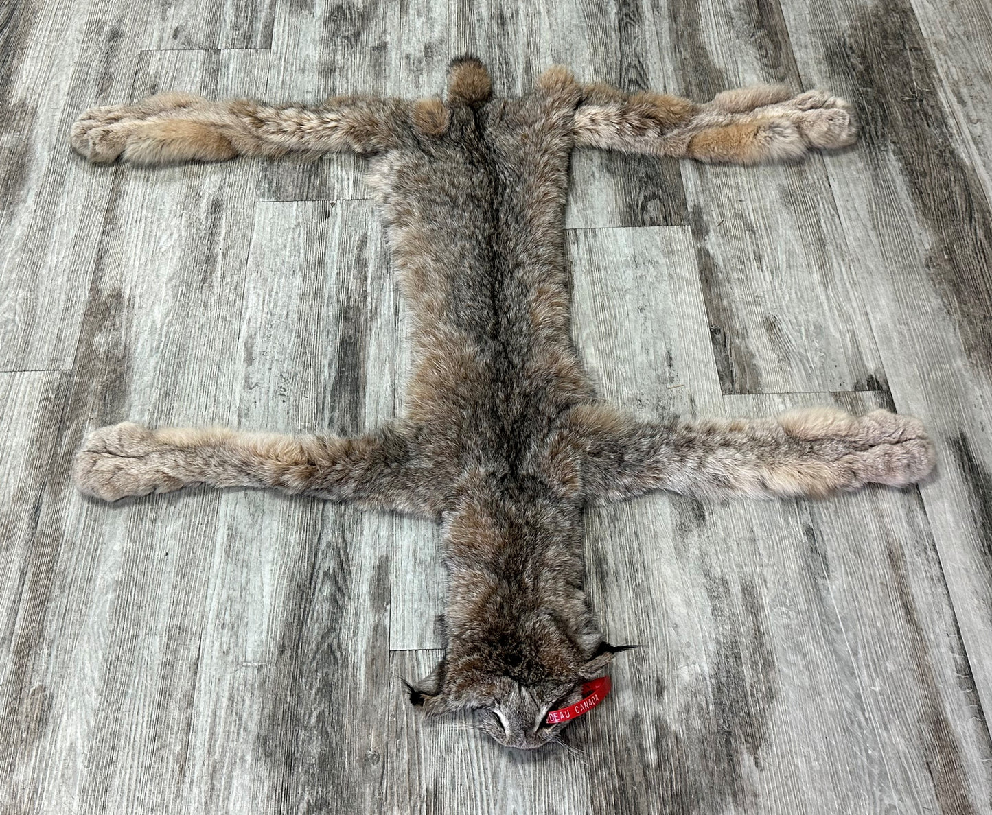 DRESSED SKIN - LYNX - #0000941