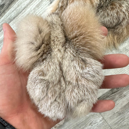 PEAU - LYNX #0000944