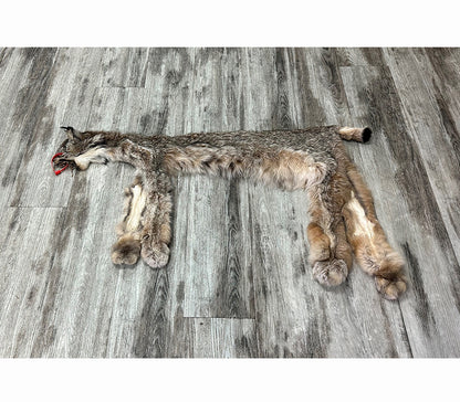 PEAU - LYNX #0000944